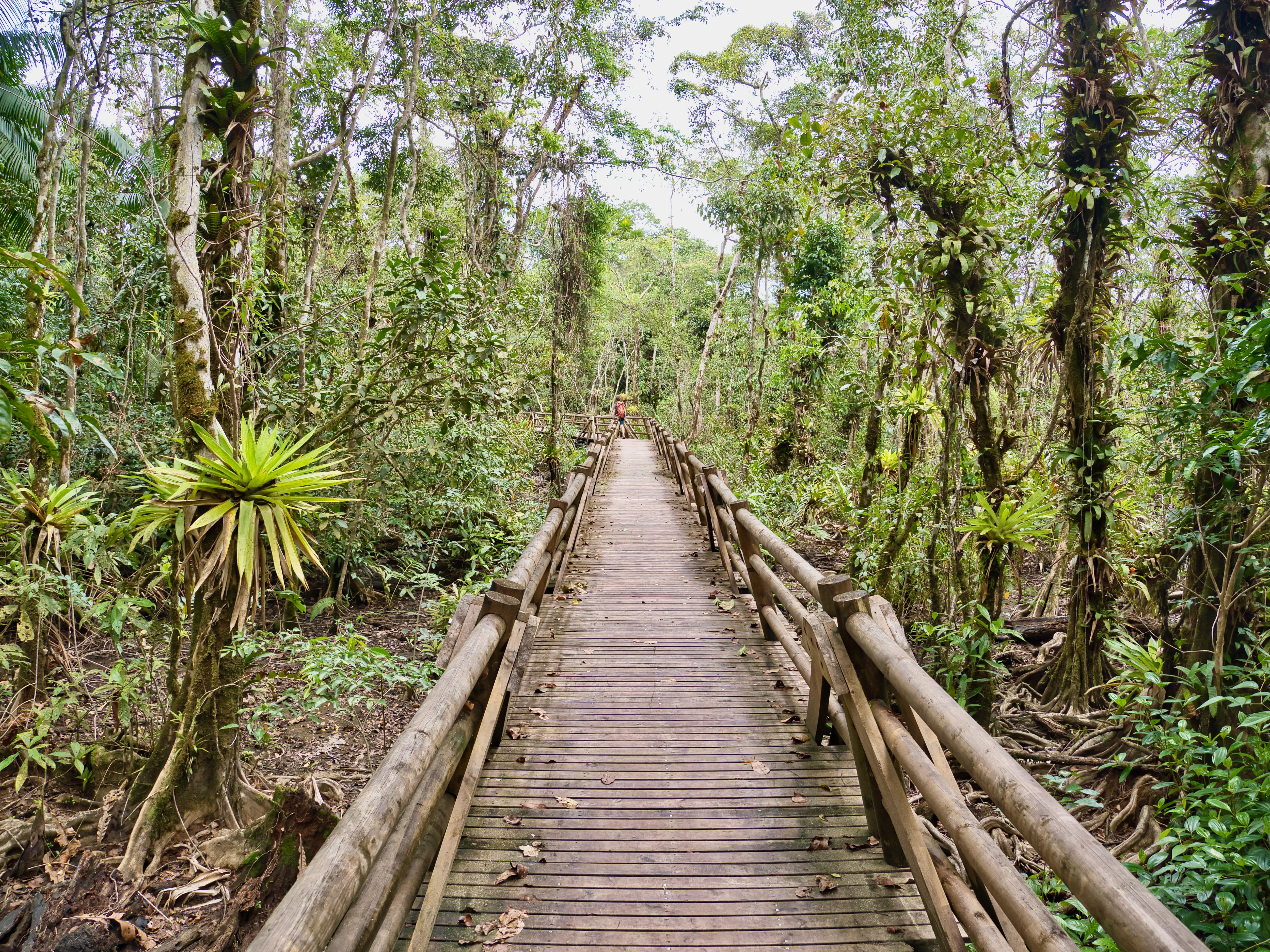 ¿Cómo llegar a Nuquí desde Bogotá o Medellín?