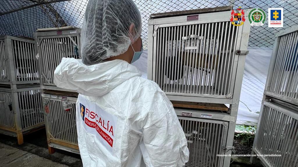 La Fiscalía investiga al centro de investigación por varios delitos.