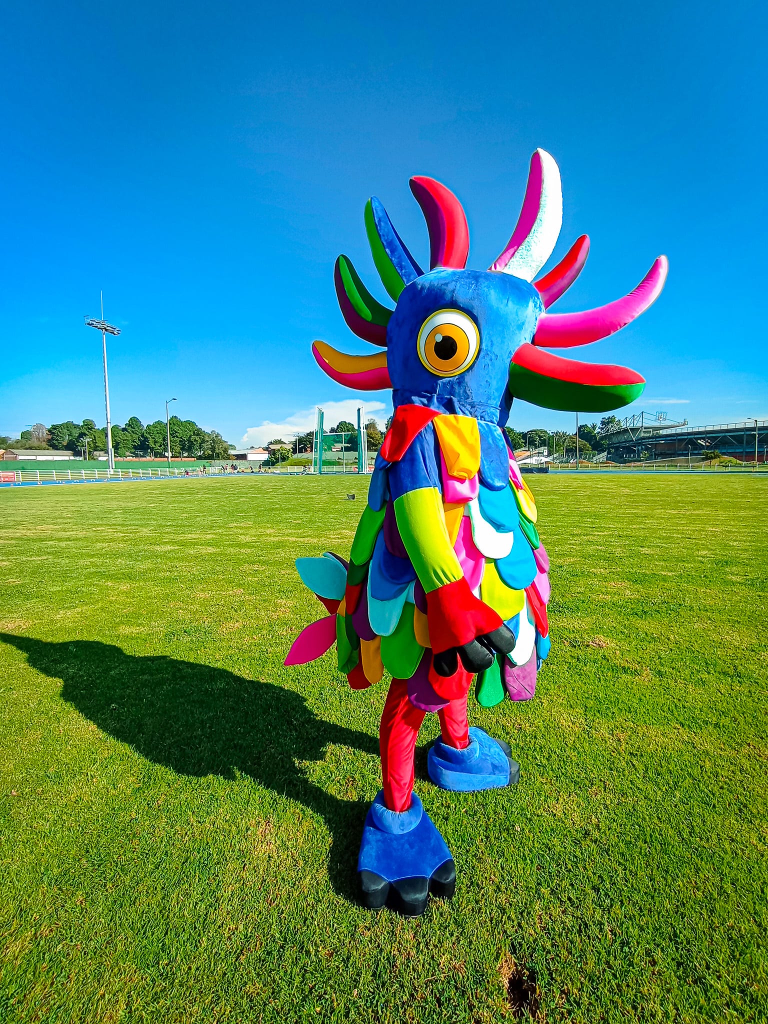 El creador de la Copetingua es Emilio Morales, un artista bogotano de 20 años que encontró en el dibujo la mejor forma de plasmar el universo fantástico que habita en su mente.