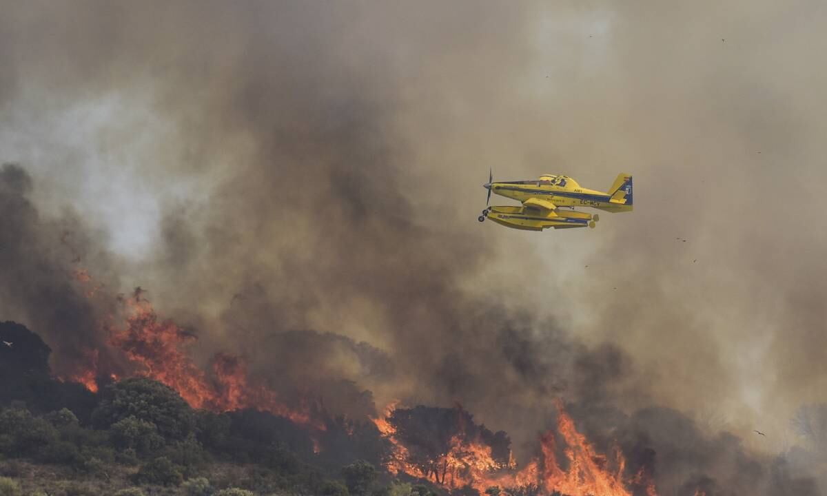 Se estima que cerca del 50% de los incendios que se han activado en España por efecto de la ola de calor, aún están activos