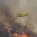 Se estima que cerca del 50% de los incendios que se han activado en España por efecto de la ola de calor, aún están activos