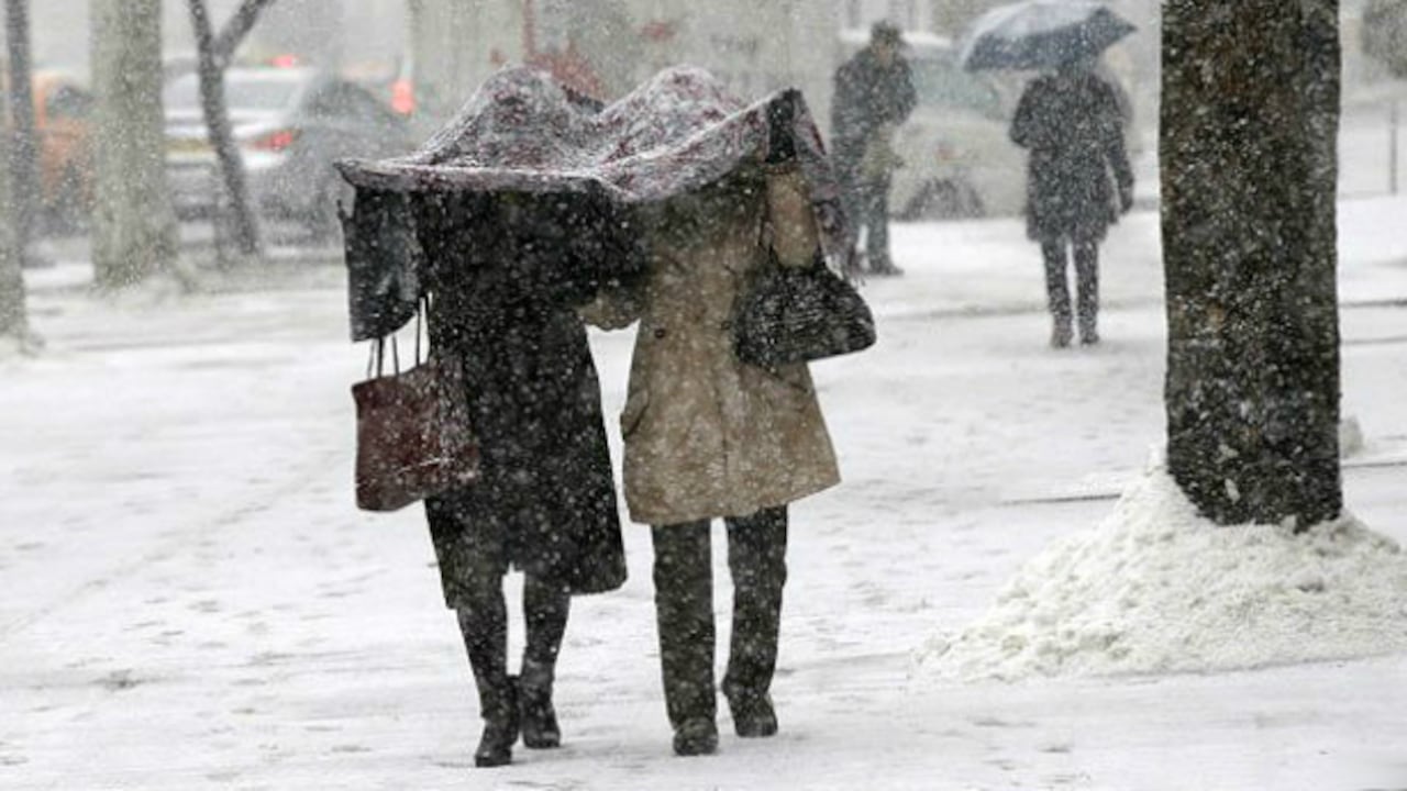 A algunas mujeres en Corea del Sur se les conoce como "Chicas Bacchu" porque venden una popular bebida conocida con el mismo nombre.