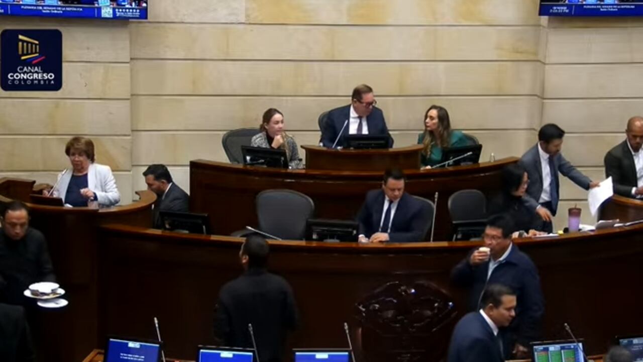 Presupuesto 2026. Debate en plenaria de Senado