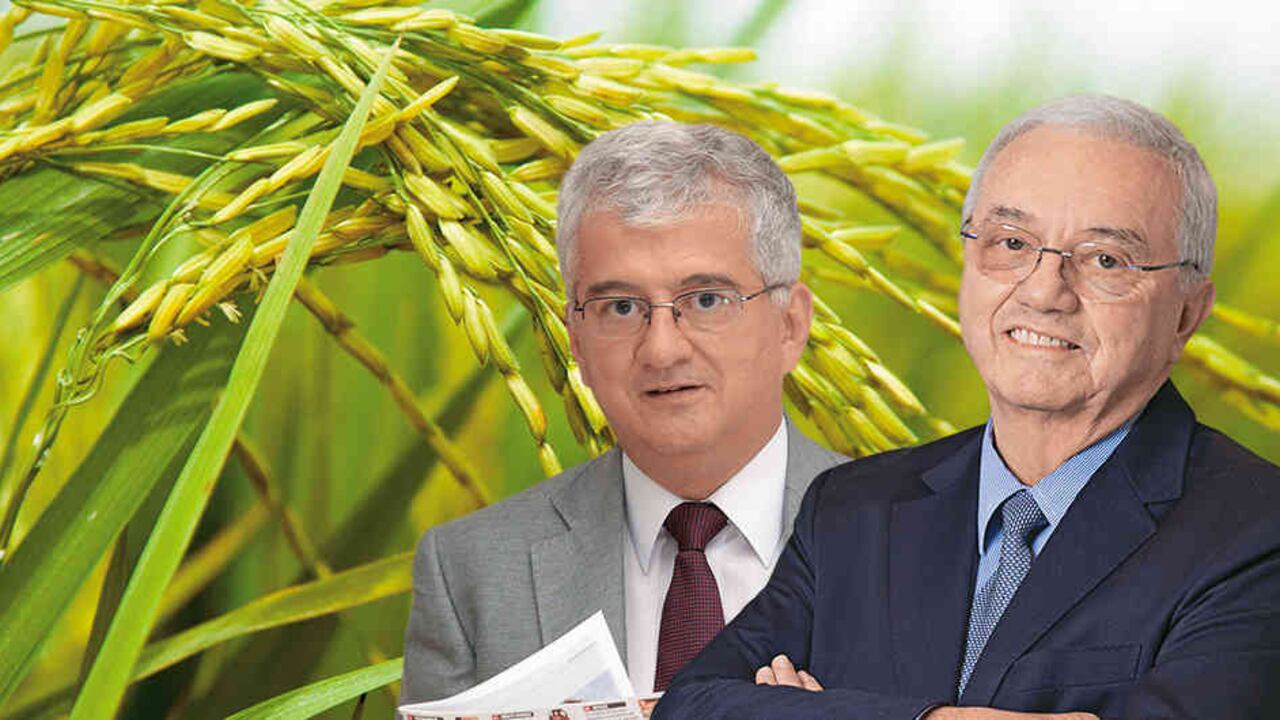De izquierda a derecha: Silverio Gómez, director de la Cámara Induarroz de la Andi y Rafael Hernández, presidente de Fedearroz. Hoy en día para tener viabilidad la industria no se dedica solo al arroz.