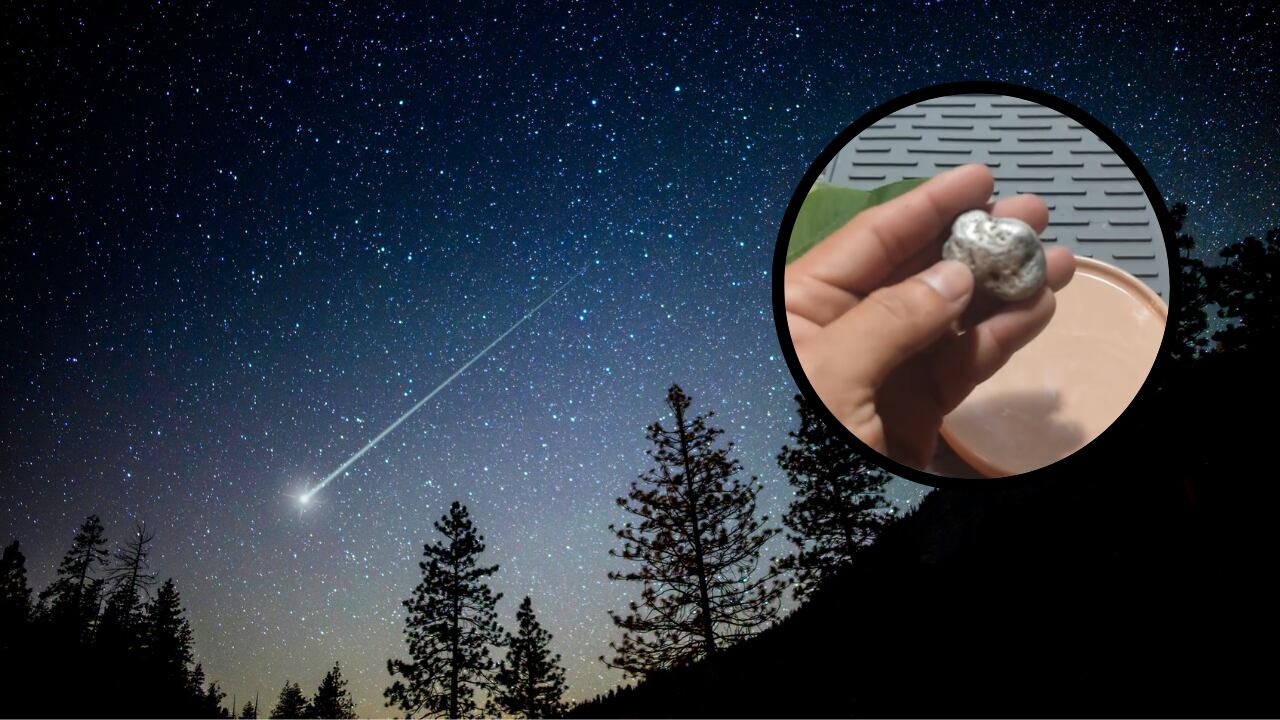 Lo que comenzó como un hallazgo curioso terminó en un relato inquietante: un joven afirma que de un meteorito encontrado en su casa surgió una criatura enigmática.