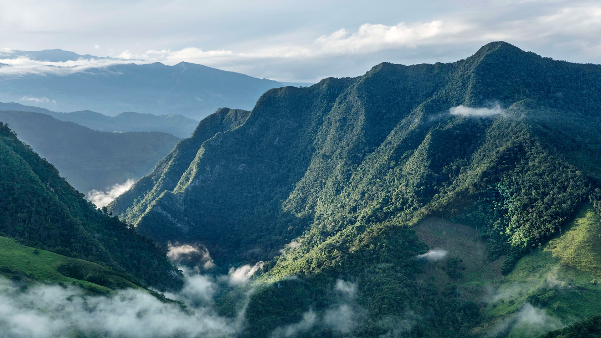 NO USAR, USO EXCLUSIVO MEJOR COLOMBIA, Especial Minería, Introducción