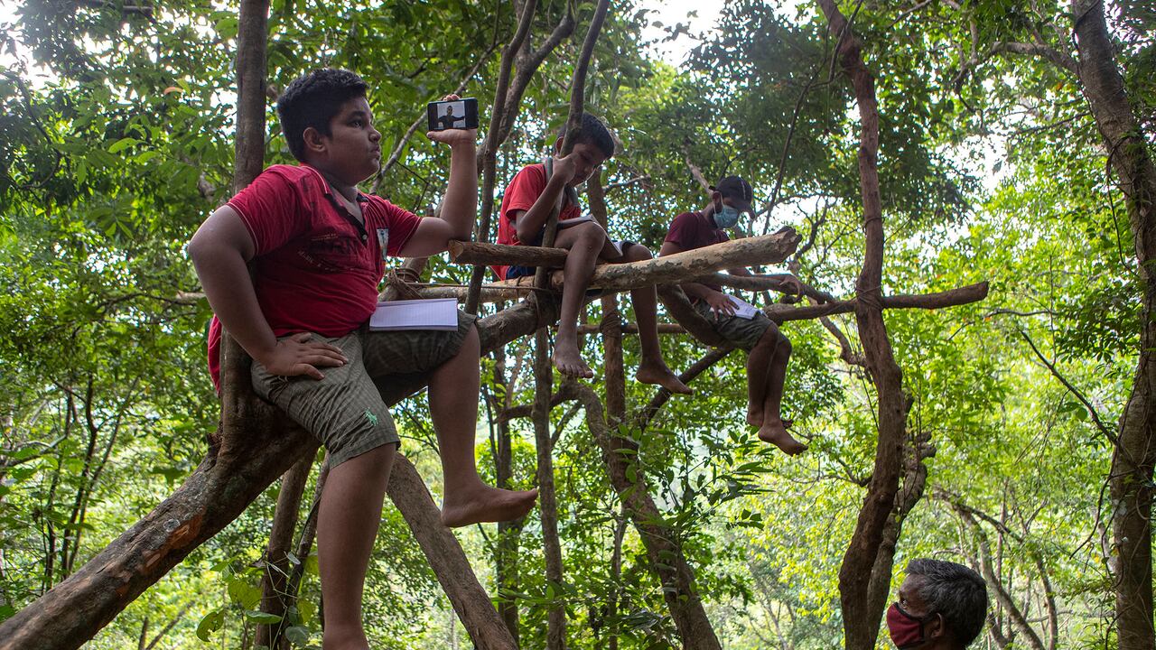 Imágenes como esta, captada en Sri Lanka, también se podrían ver en Colombia ante las dificultades de los habitantes de las zonas rurales apartadas para poder tener señal de internet. Foto: AP / Eranga Jayawardena.