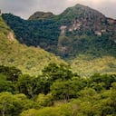 : El 90 por ciento del bosque seco tropical colombiano desapareció por las acciones del hombre. Foto: Felipe Villegas (Instituto Humboldt).