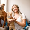 Para adoptar a un animal hay que ser responsables. Getty Images.