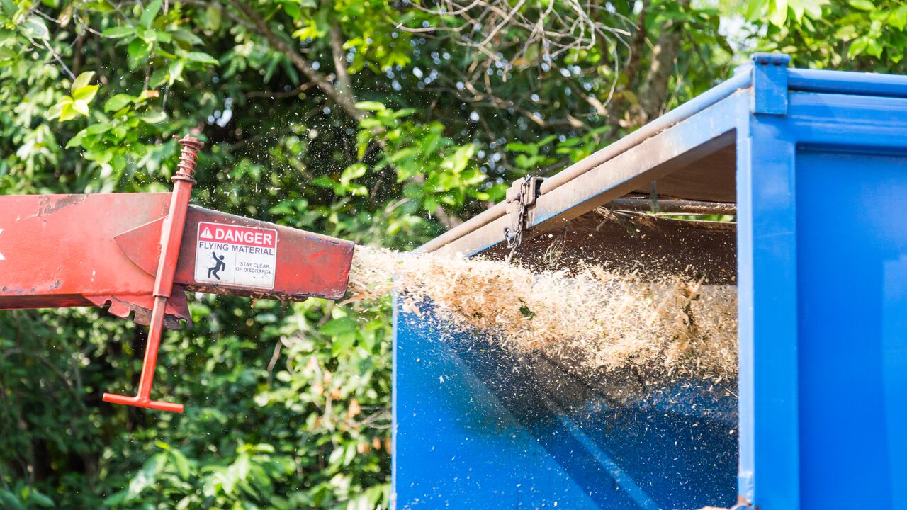 Joseph “Joey” Wesley Manire, era un contratista de 46 años que se encontraba podando un árbol en Owensboro, Kentucky, cuando su cuerpo se enredó con un juego de luces navideñas. (Imagen de referencia).