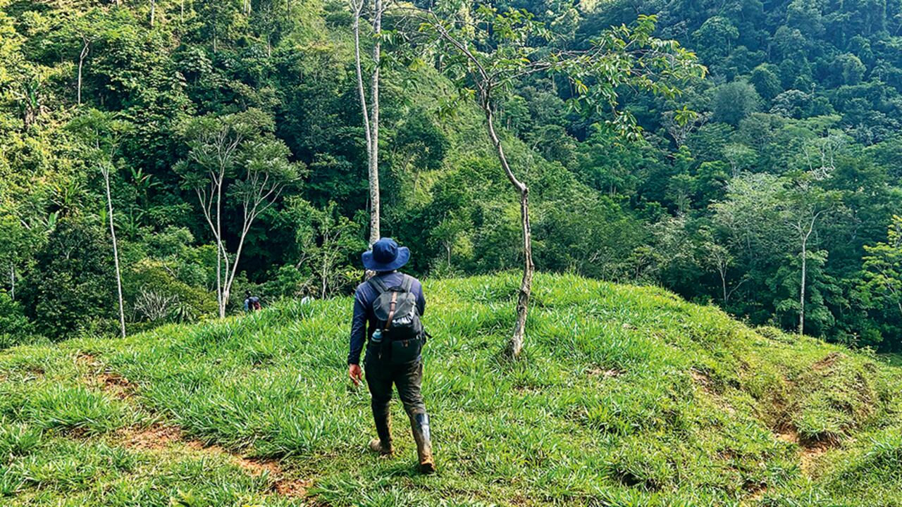 El Bosque Tosh, con el que han compensado 128.490 toneladas de CO₂ en los últimos seis años.