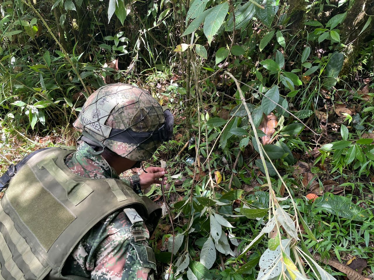 Un hecho similar sucedió en el municipio de Argelia hace 20 días donde falleció un agricultor dedicado a la recolección de café
