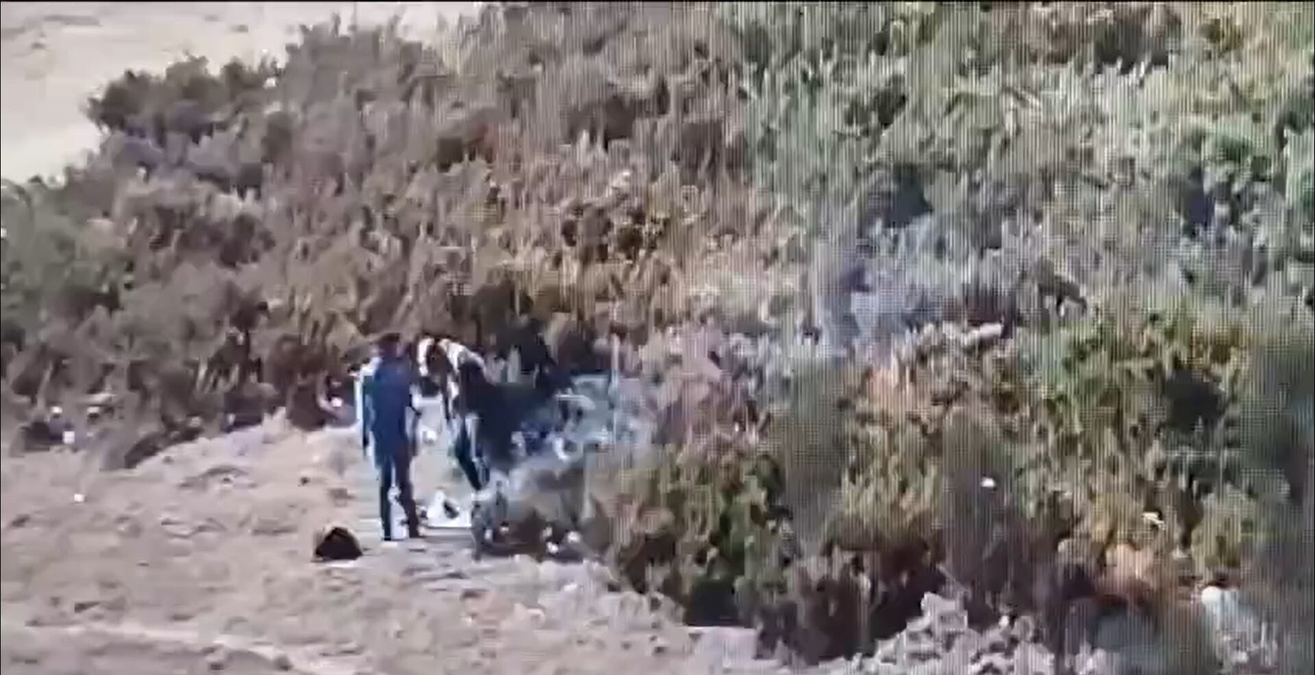 Los dos sujetos fueron capturados por la Policía.