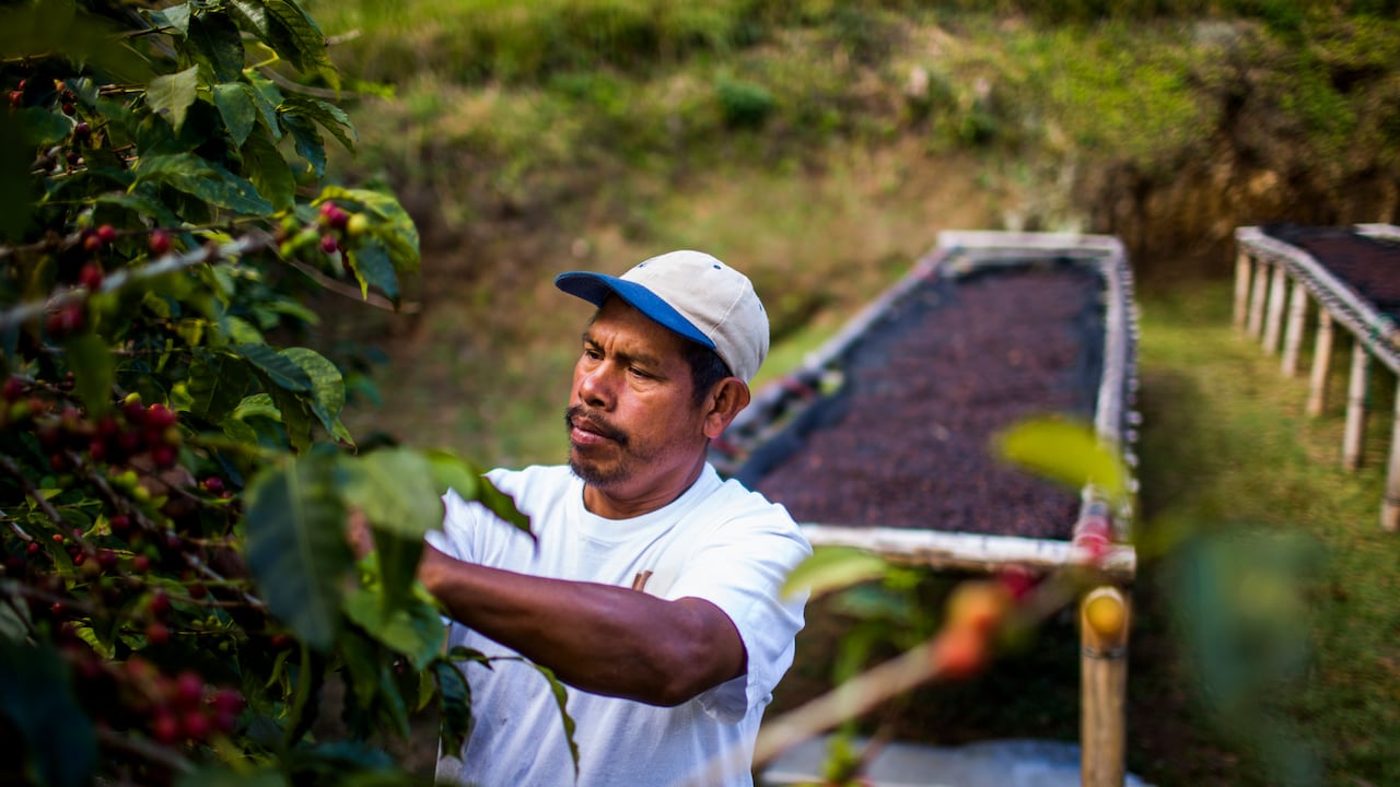 Para entender y solucionar las problemáticas de pobreza del campo, Anif advierte que primero deben conocerse a profunidad.