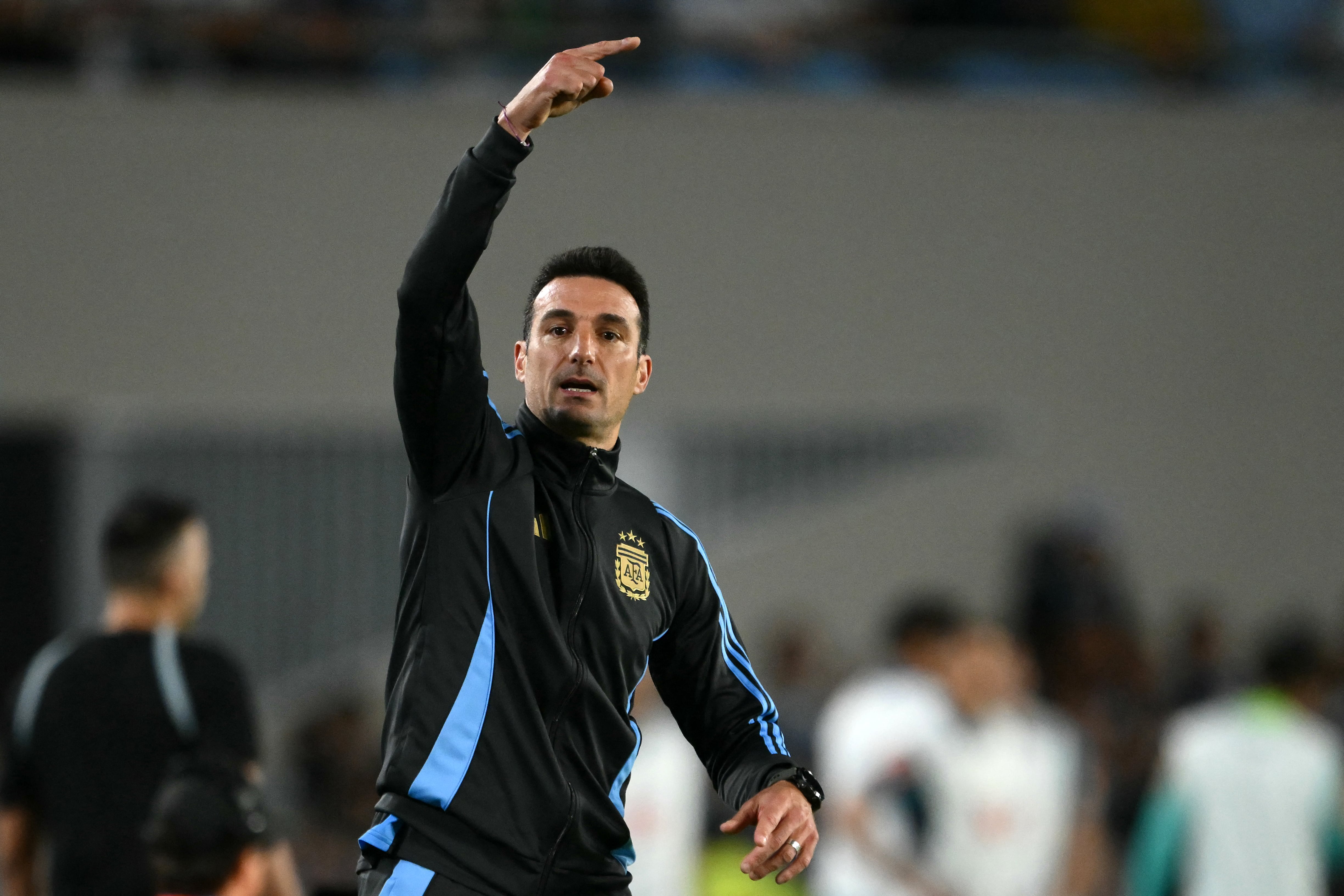 DT Lionel Scaloni  en el partido Argentina vs. Brasil