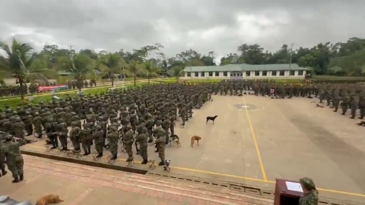 Formación de soldados en el que perros ladraban emulando el himno nacional de Colombia.