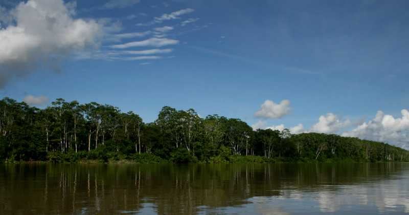 El Parque Nacional Natural Amacayac está ubicado en el extremo sur del departamento del Amazonas, en el denominado “Trapecio Amazónico”. 