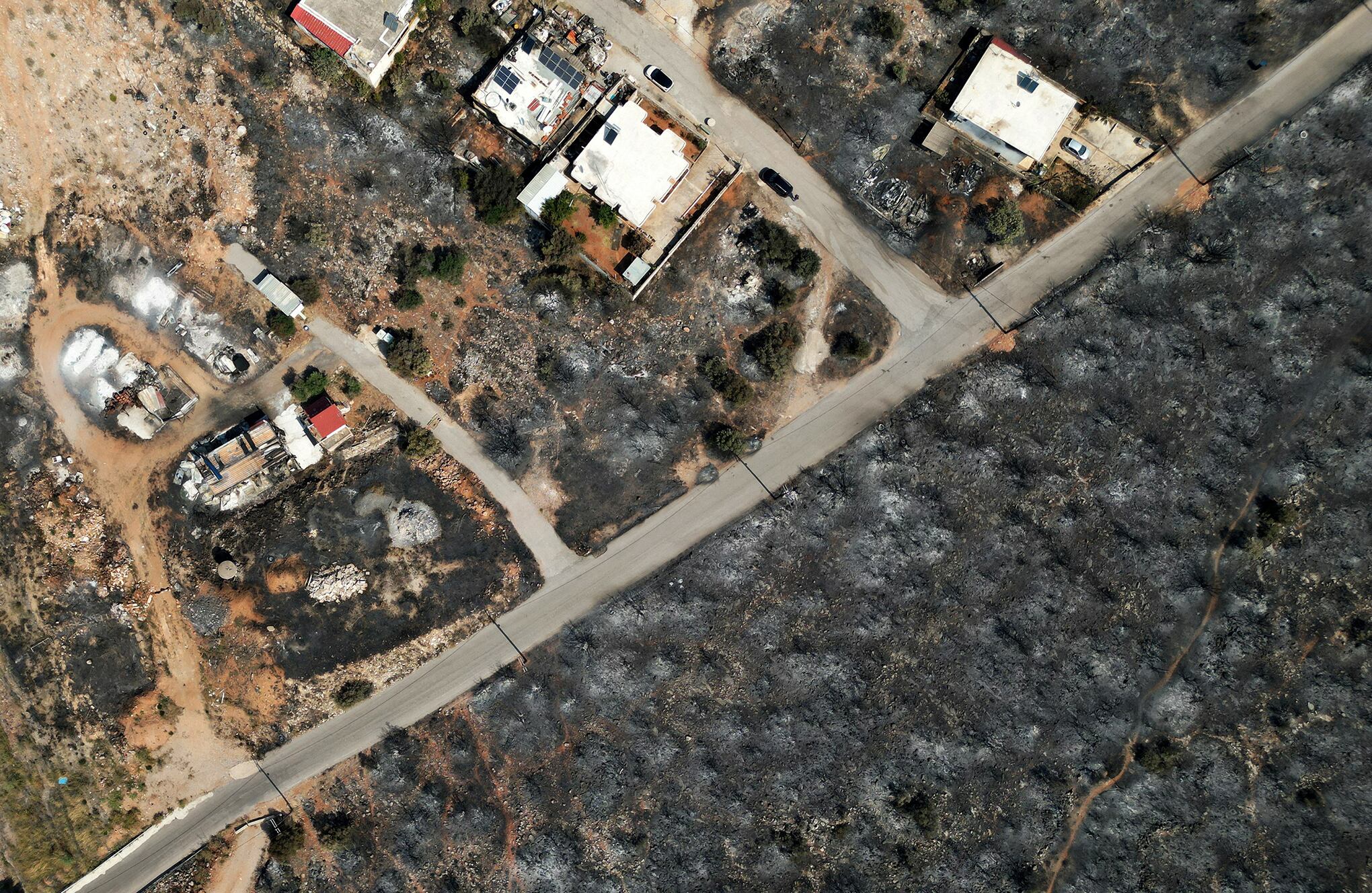 Fotos de la semana 21 julio