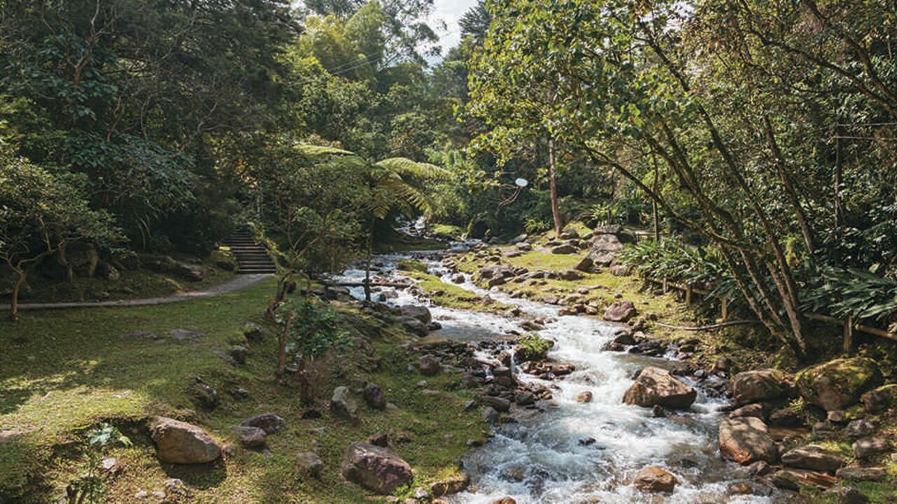 La quebrada la Ayurá es transversal a Envigado. Uno de los retos para sus ciudadanos es proteger este recurso natural.