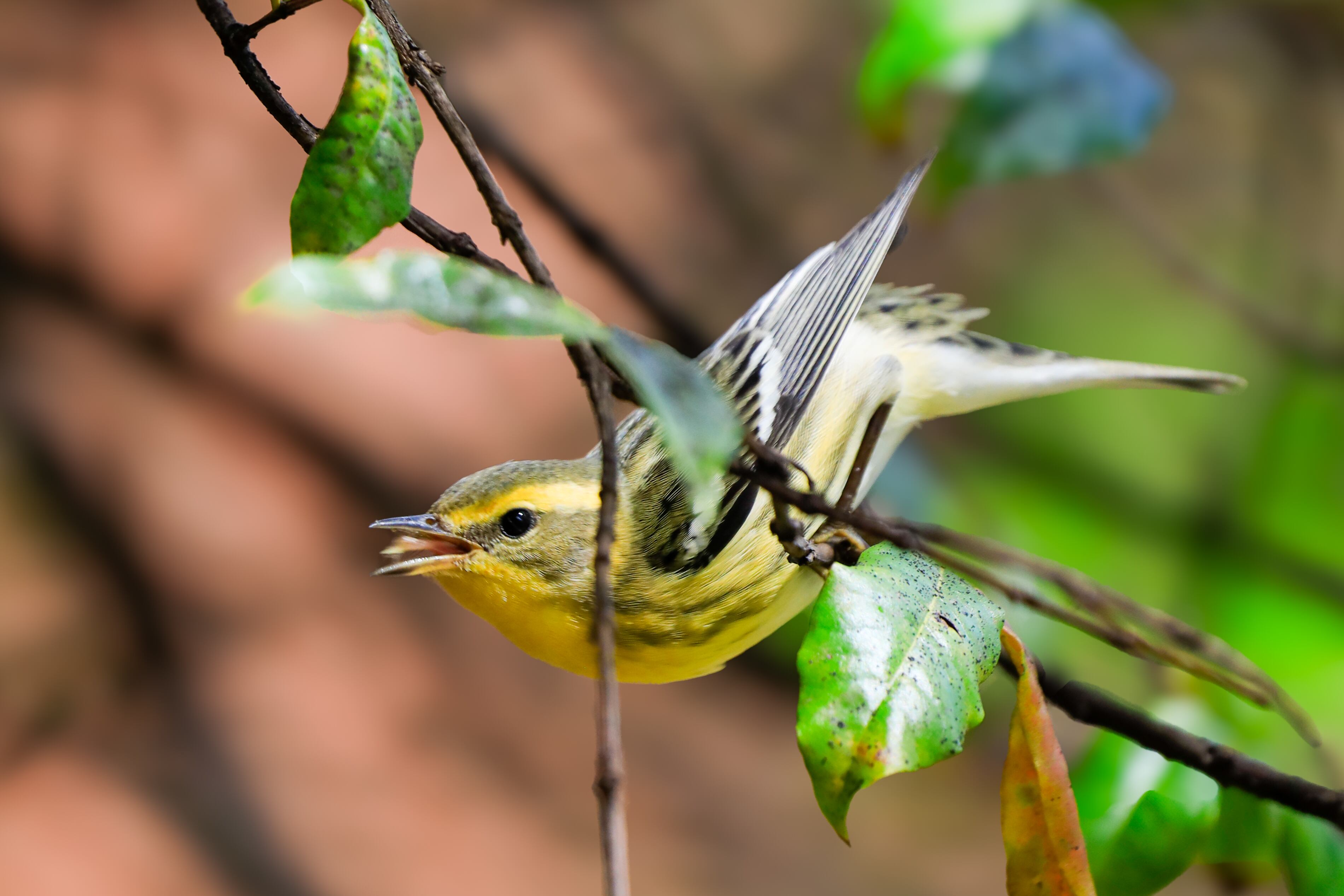 La Universidad responde a los objetivos de la Agenda 2030, promoviendo el cuidado ecológico y la preservación de especies.