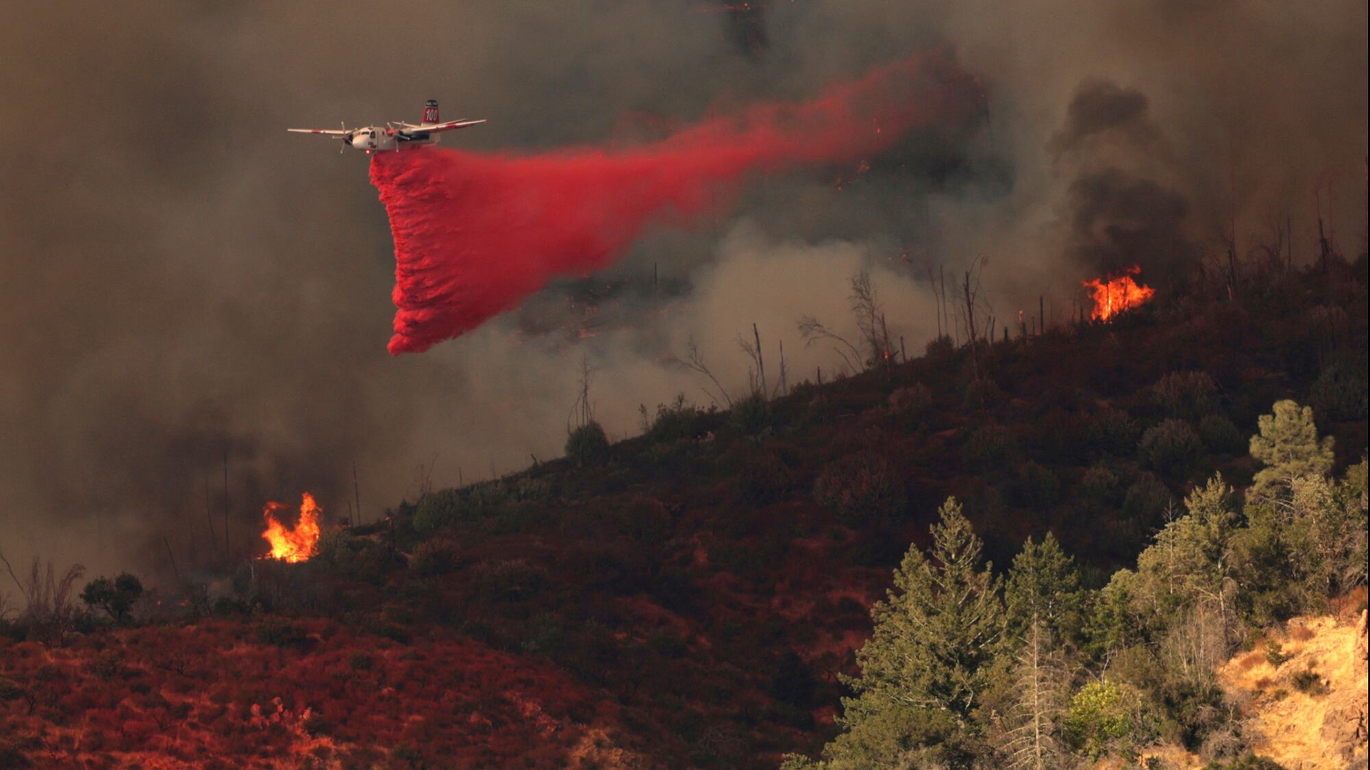 Fotos de la semana 22 agosto