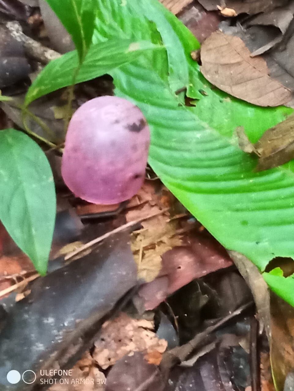 Entre lo encontrado está una tapa de tetero y un pañal
