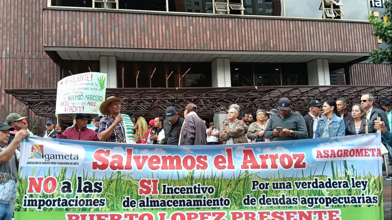 Plantón arrocero en Bogotá exigiendo al Gobierno Nacional precios de compra justos, subsidios para equilibrar los costos de producción y la renegociación de los TLC, el 3 de febrero de 2025
