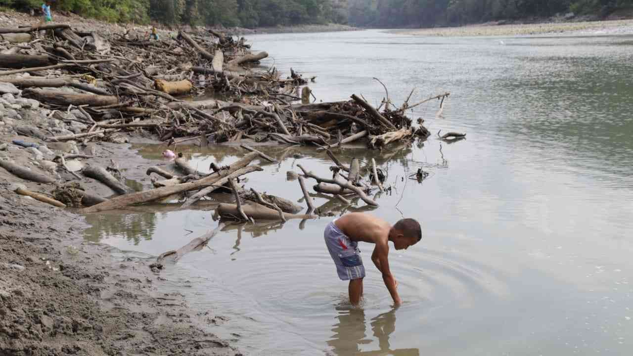 Los niños juegan en el río Cauca como si se tratara de una quebrada. Foto: Esteban Valencia.