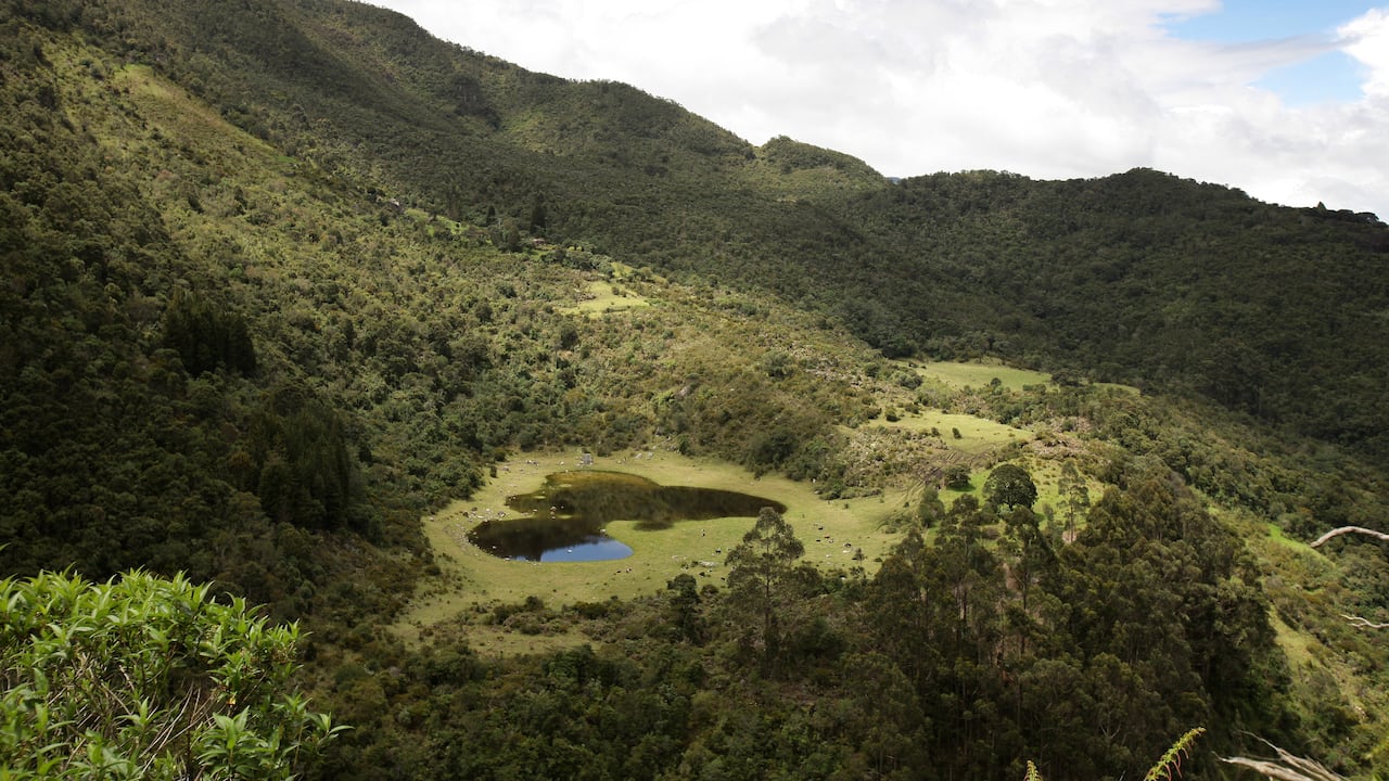 Laguna El Salitre, municipio de Subachoque.