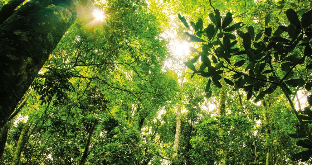 Para muchos, la implementación del acuerdo no se ajusta a la realidad de los países de la región. 