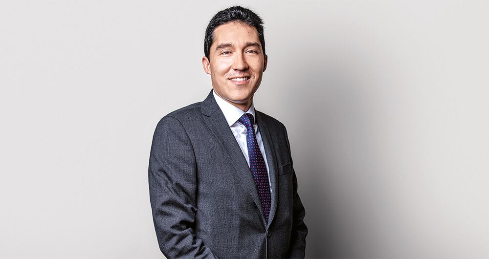 luis f. mejía Director de Fedesarrollo