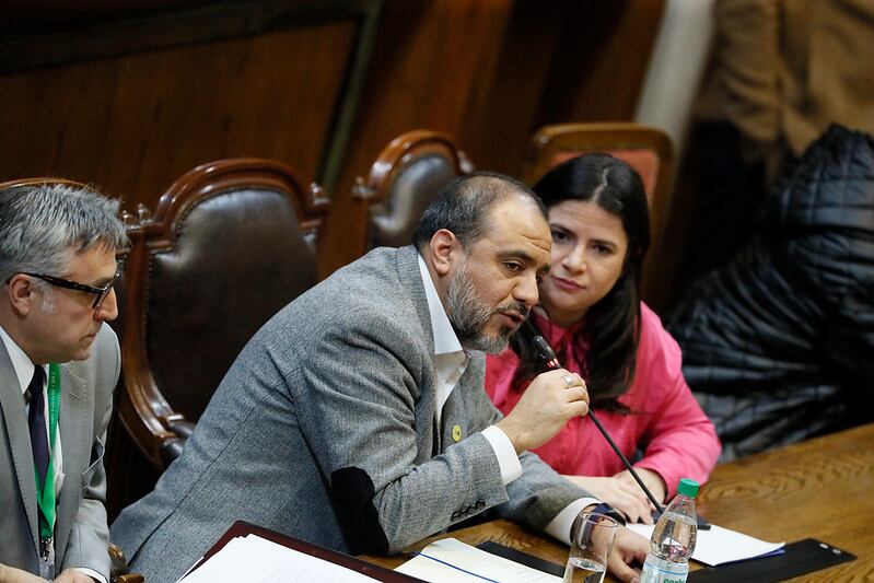 CÁMARA DE DIPUTADAS Y DIPUTADOS