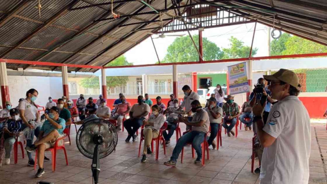 El proyecto contempla la intervención de dos hectáreas de las tierras de los pequeños ganaderos. Foto Cardique