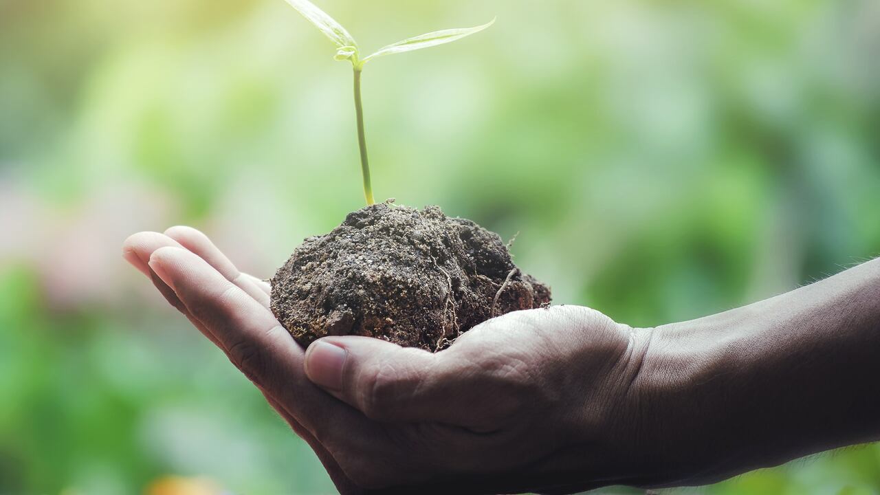 Ecología, tierra, medio ambiente