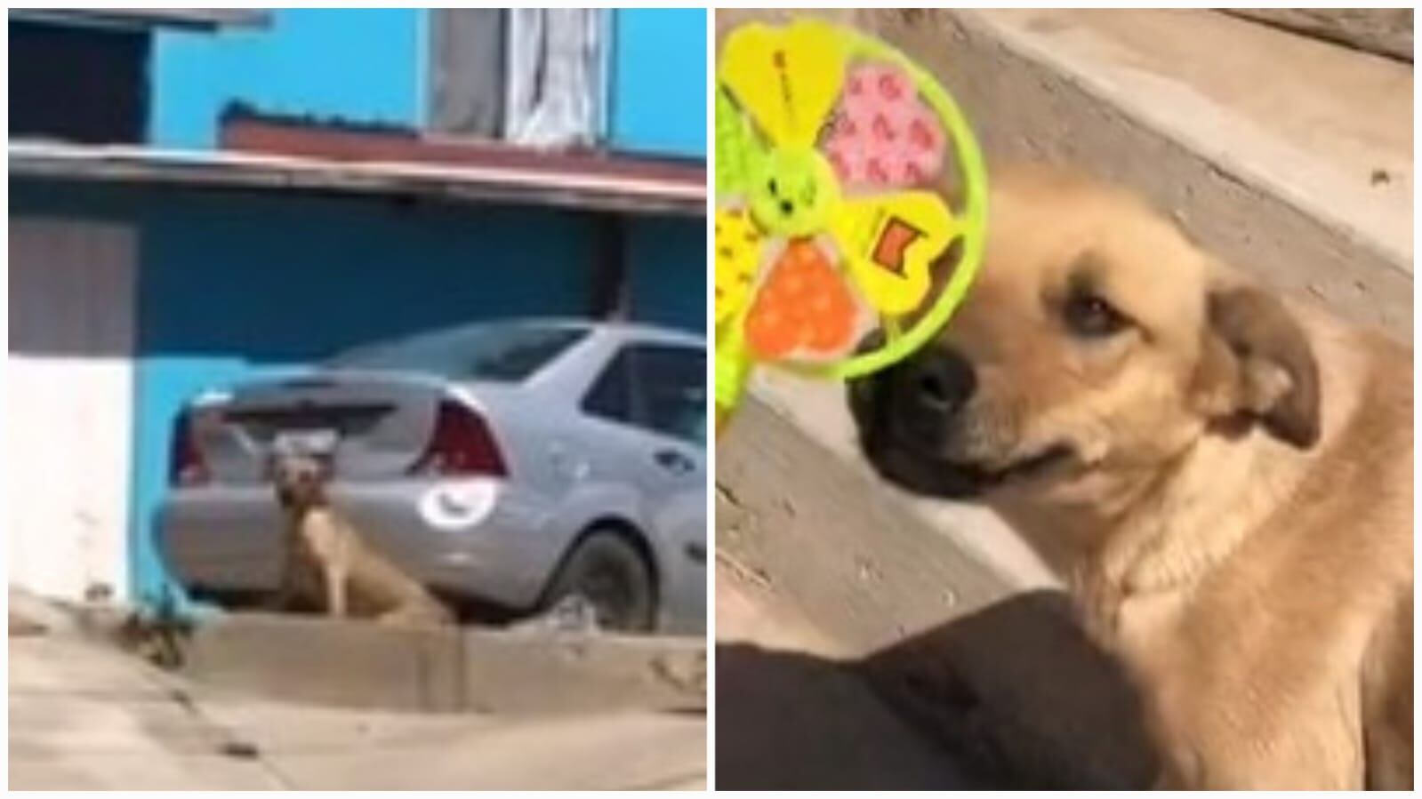 Se contabilizan casi 30.000 comentarios en el clip inicial.