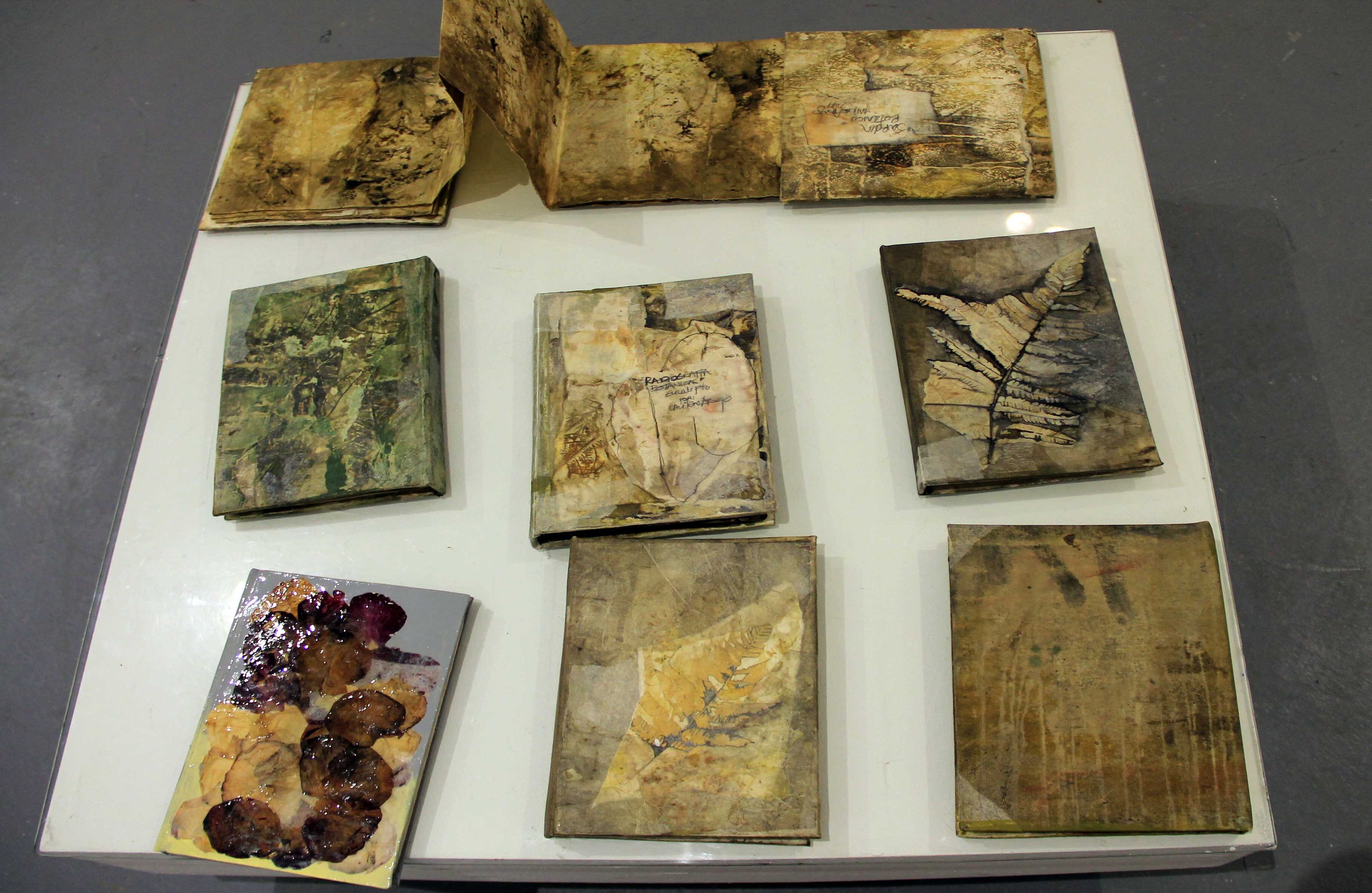 'Vestigiun Tectona Grandis'. Foto: Álvaro Tavera