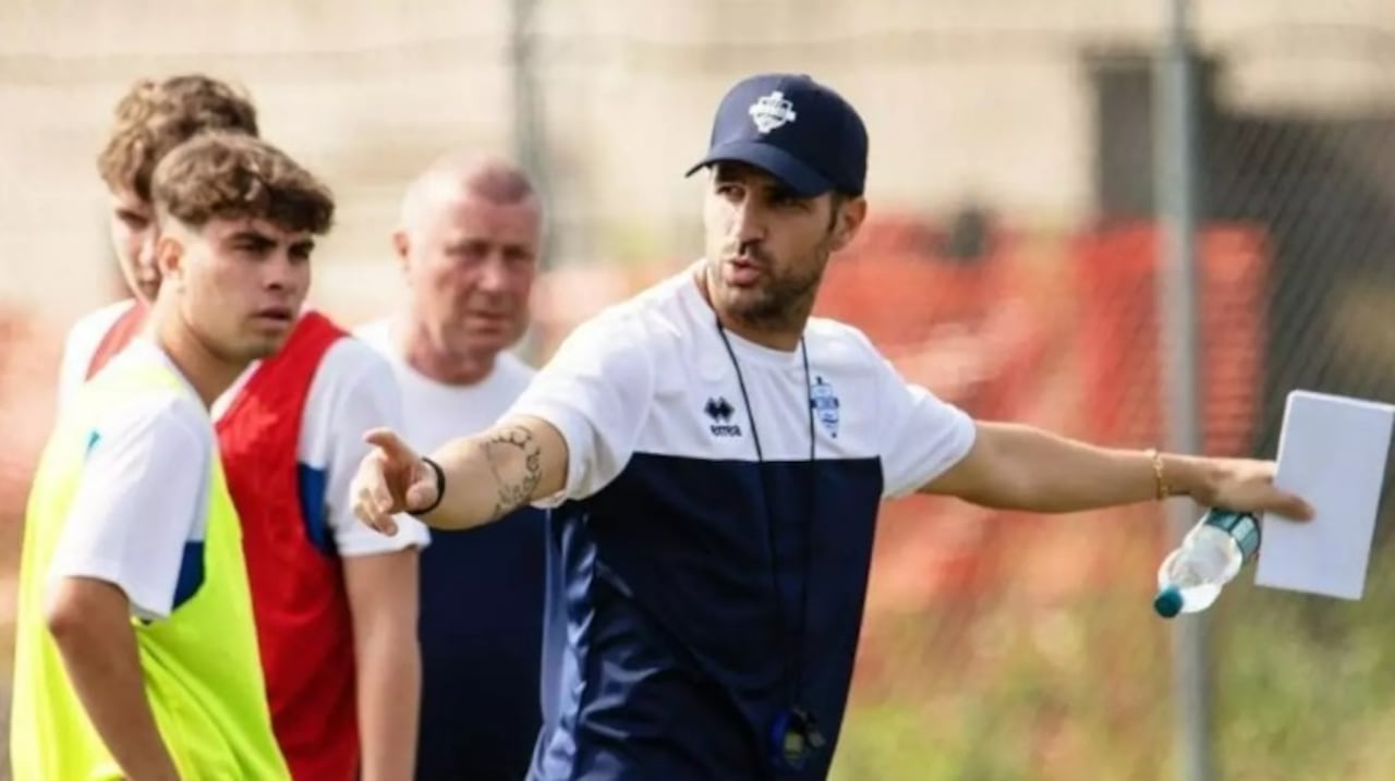 Cesc Fábregas.