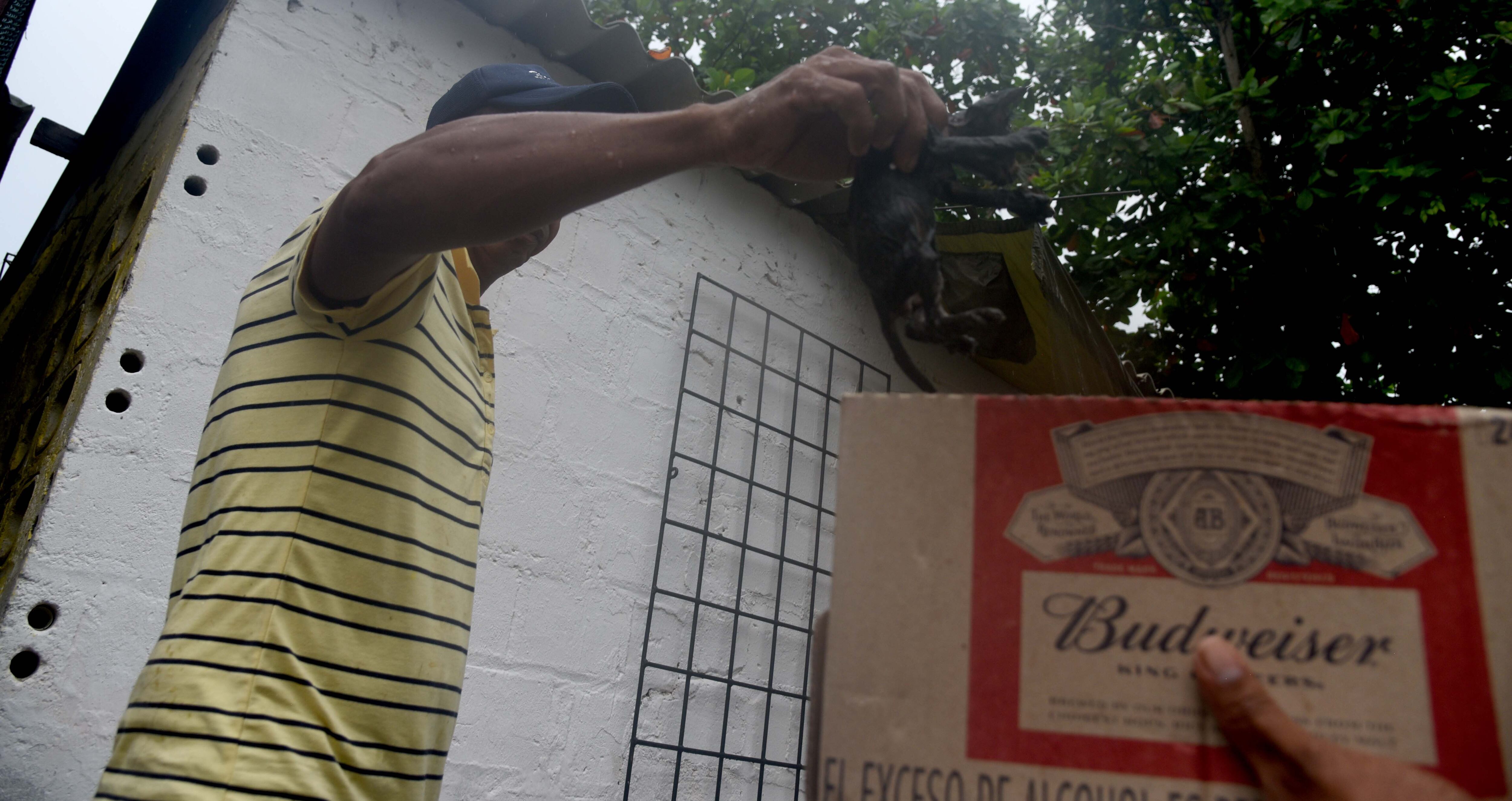 Aracataca, Magdalena. Sábado 5 de noviembre de 2022. Mercado Público.