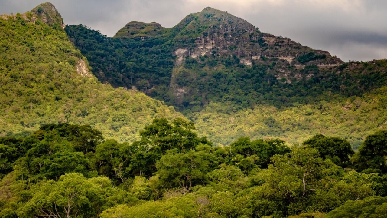 Bosque seco tropical en Colombia