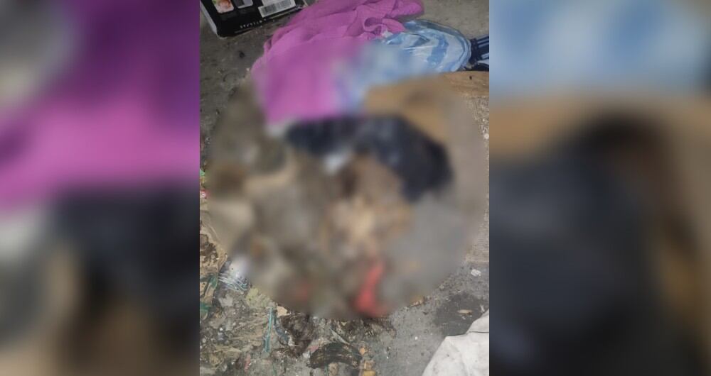 Las autoridades ya están adelantando las investigaciones pertinentes frente a este hallazgo.