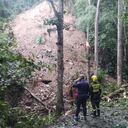 SEMANA conoció que en las próximas horas hará presencia maquinaria amarilla para restablecer el paso.