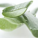 Estudios aseguran que la sábila no se recomienda para personas con cuadros diarreicos o con problemas de insuficiencia renal. Foto: Gettyimages.