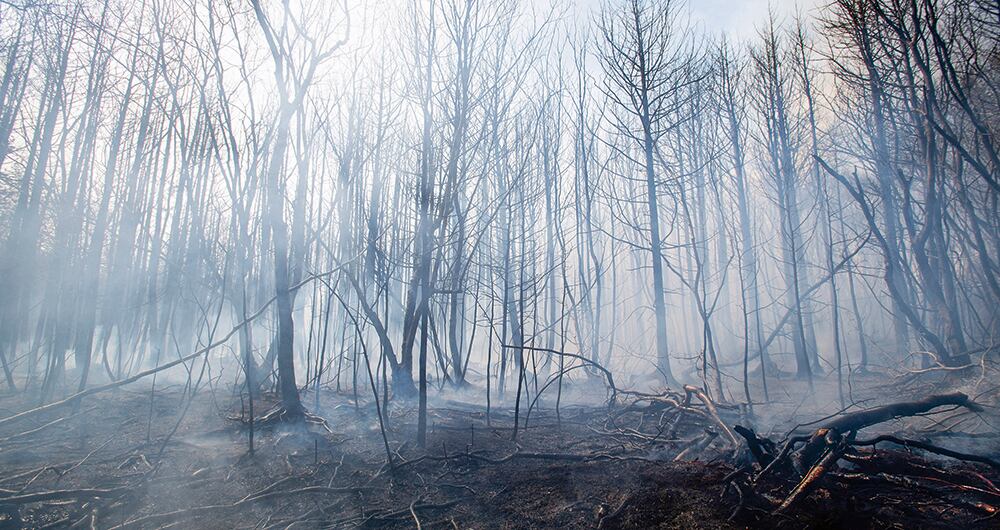 Las autoridades evacuaron a as personas luego de un masivo incendio.