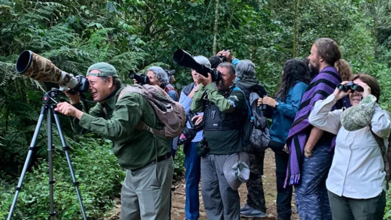 Feria de  aves en Cali
