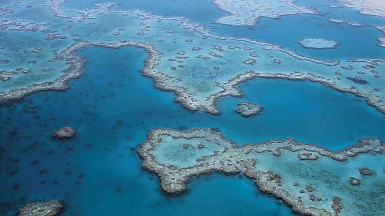 La Gran Barrera es el mayor sistema de corales del mundo. El aumento de las temperaturas los he hecho decolorarse de manera masiva en los últimos cinco años. Foto: Pixabay.