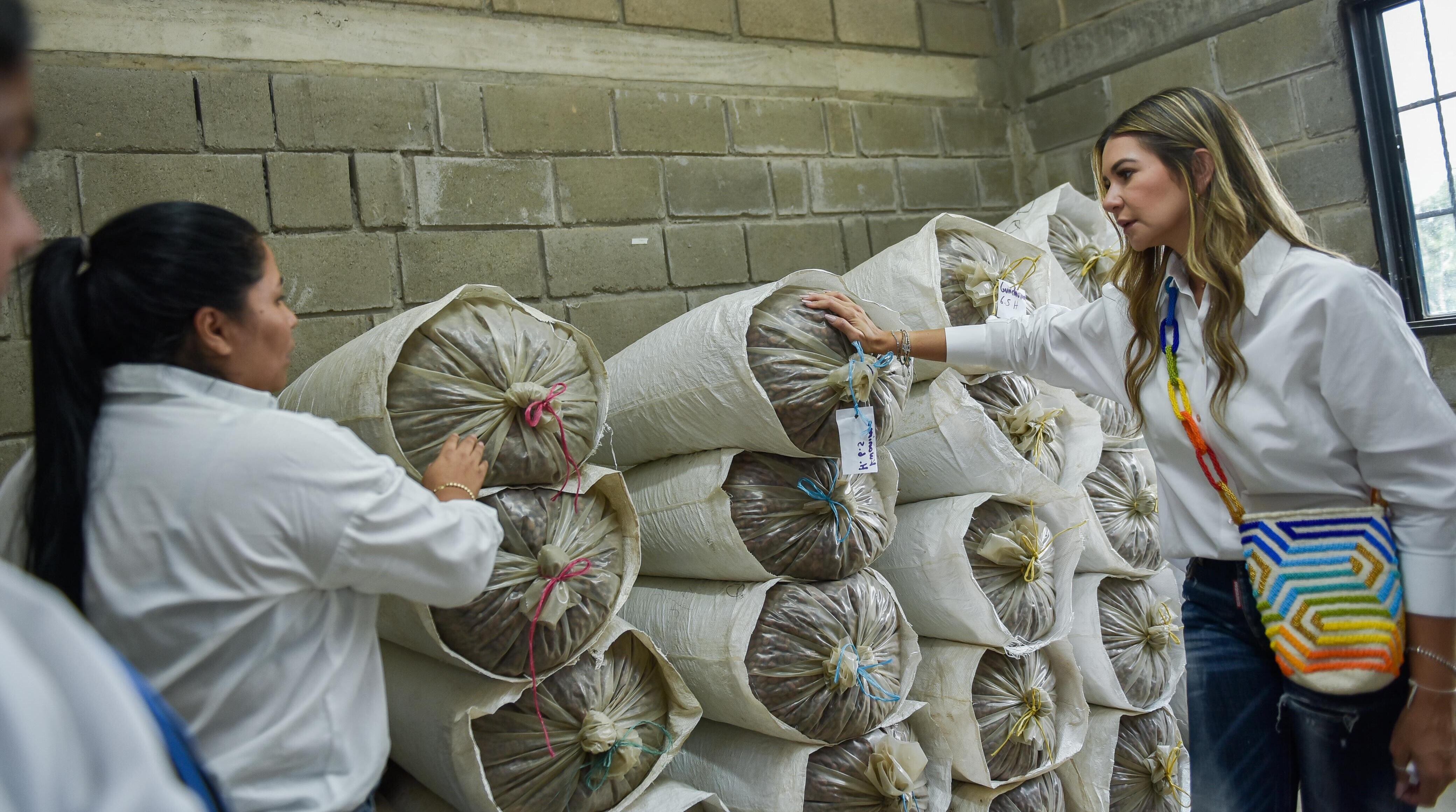 Elvia Sanjuán Dávila, gobernadora del Cesar, recorriendo el centro de operaciones de Seynekun, en Pueblo Bello.
