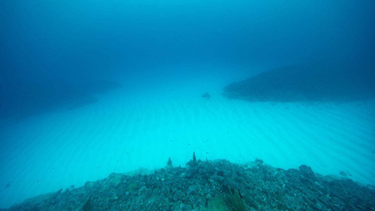 Aguas profundas, fondo marino.