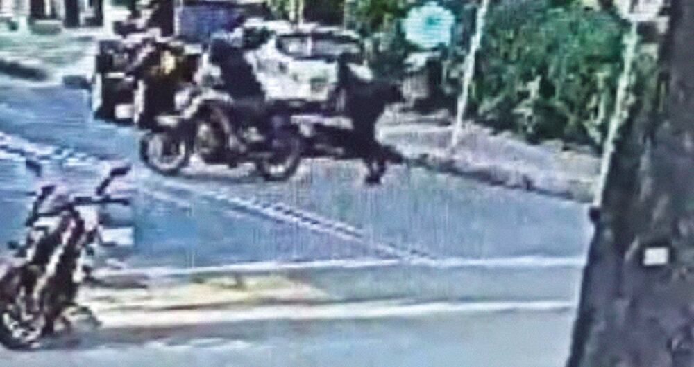 El asesinato se perpetró a plena luz del día. 