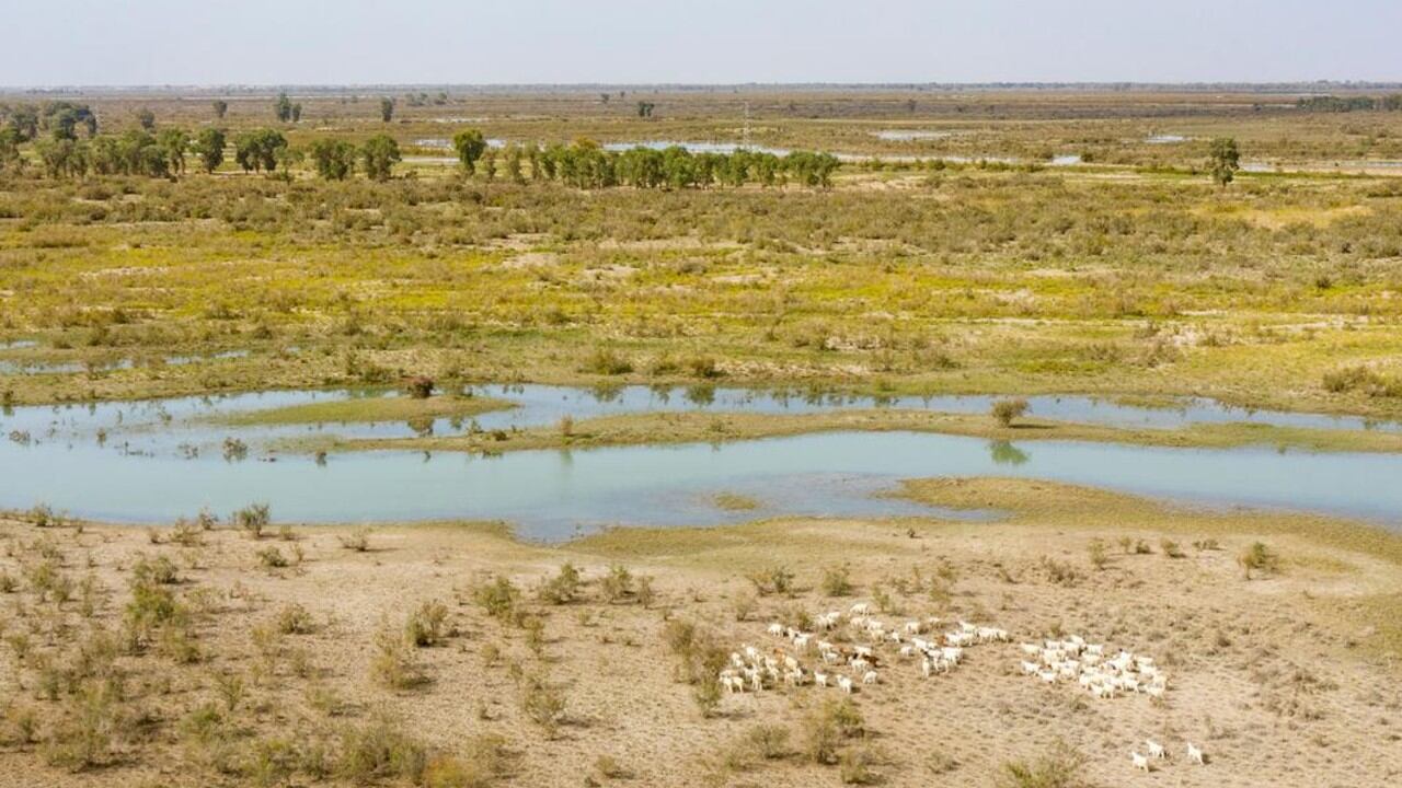 Investigadores del Instituto Potsdam analizaron cinco grandes bases de datos climáticos globales y confirmaron la aceleración del cambio climático con una certeza estadística superior al 98 %.