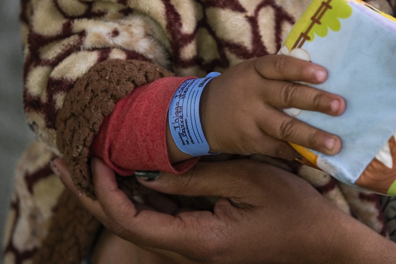 Caninantes: el programa que asiste a las mascotas de los migrantes venezolanos en la vía Bogotá-Girardot